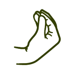 Spaghett